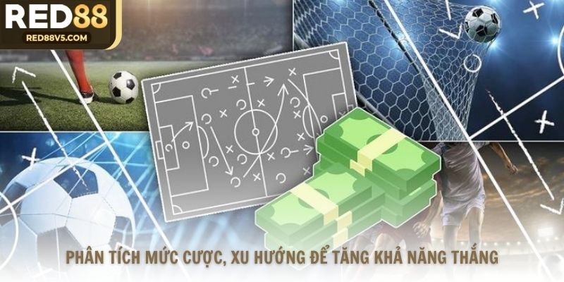 Phân tích mức cược, xu hướng để tăng khả năng thắng