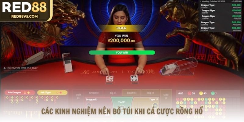 Các kinh nghiệm nên bỏ túi khi cá cược Rồng Hổ