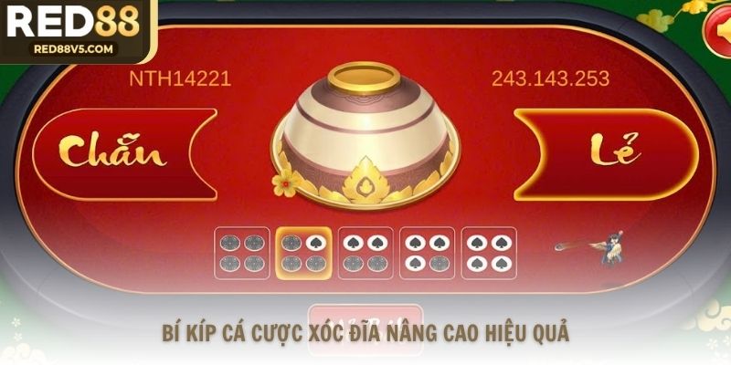 Bí kíp cá cược xóc đĩa nâng cao hiệu quả